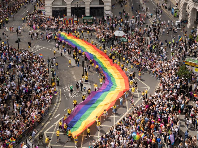 <p>This year's Pride in London parade, featuring Intersex-Inclusive Pride flags, designed by Valentino Vecchietti hanging above Regent Stree</p>