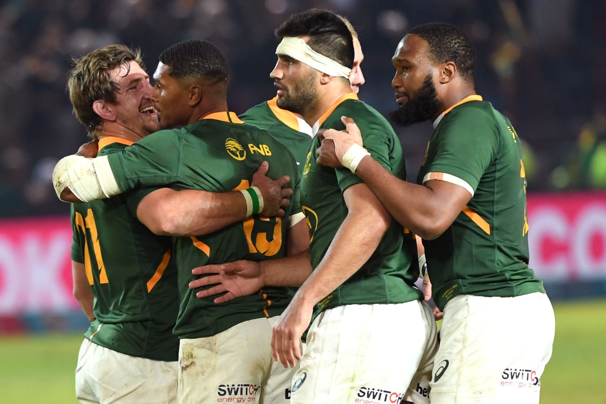 Wales denied historic result as world champions South Africa ensure last-gasp heartbreak