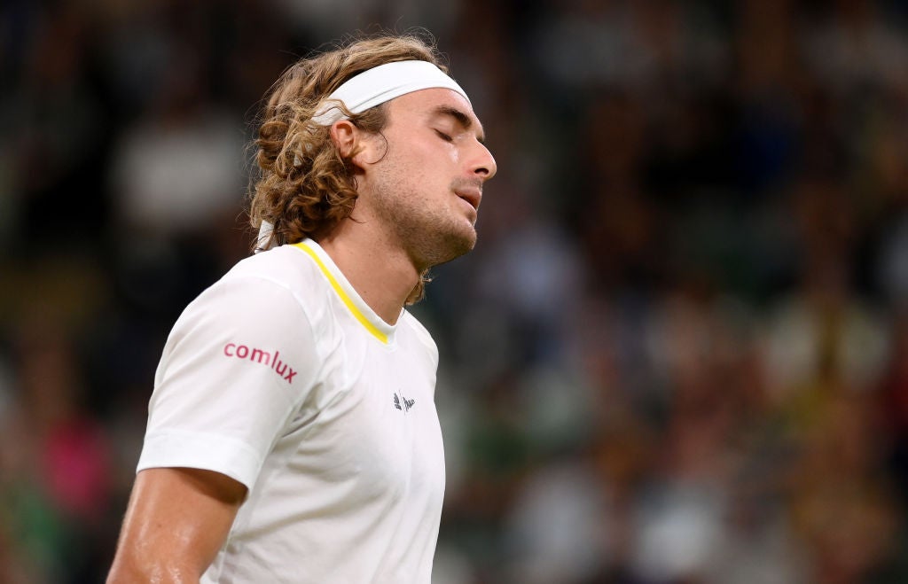 <p>Stefanos Tsitsipas apologised after hitting a ball into the crowd </p>