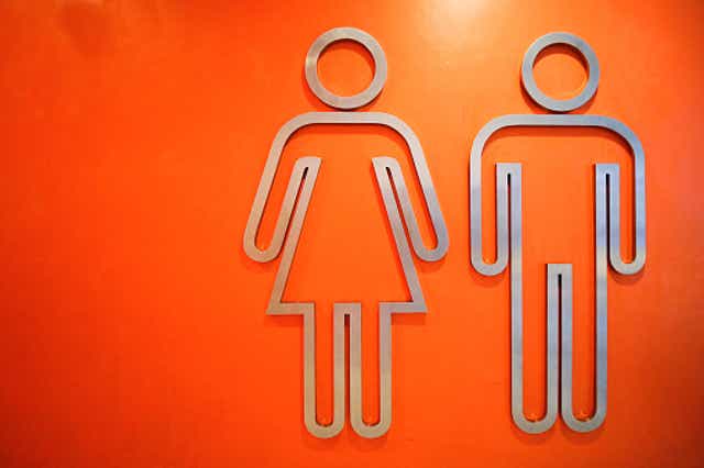 <p>The Fair Play for Women campaign group told the government same-sex facilities ‘disadvantaged’ women and that ‘many women and girls are unwilling to walk past the urinals to get to the cubicles in the former men’s facilities’ </p>