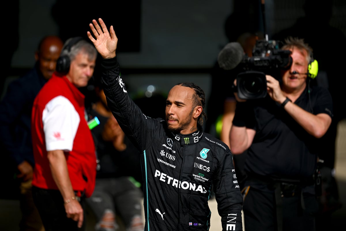 Lewis Hamilton says he ‘loves people fighting for the planet’ after seven protestors invaded Silverstone track