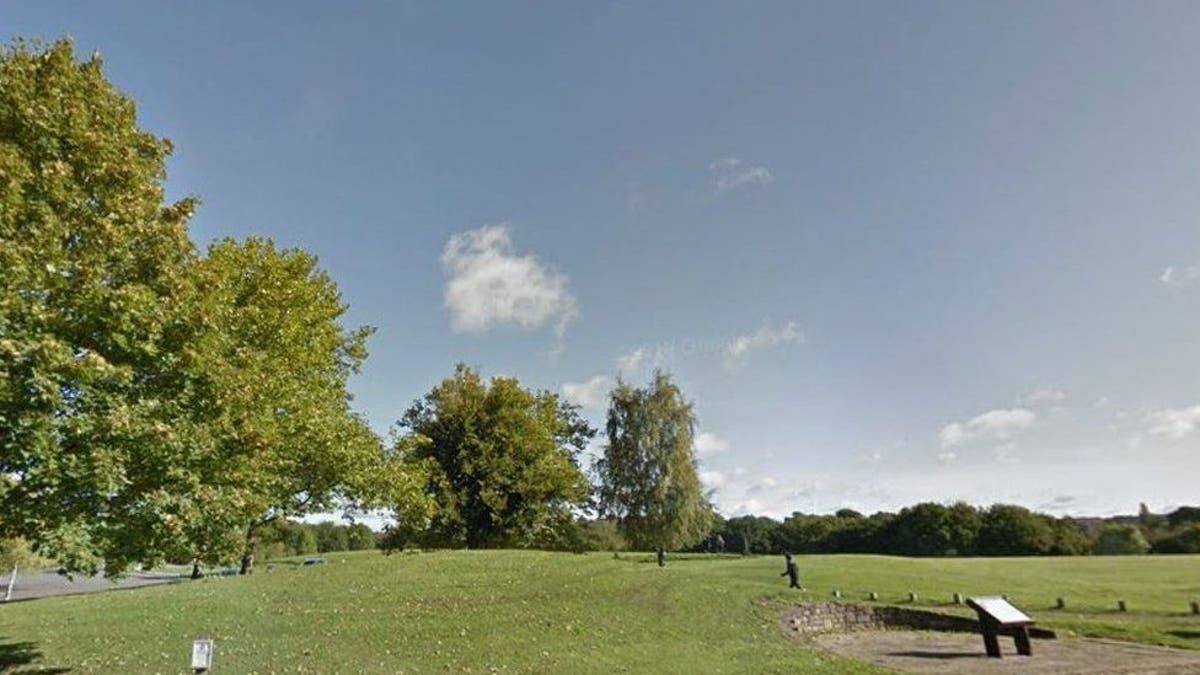 Man charged with murder after boy, 11, found injured in park