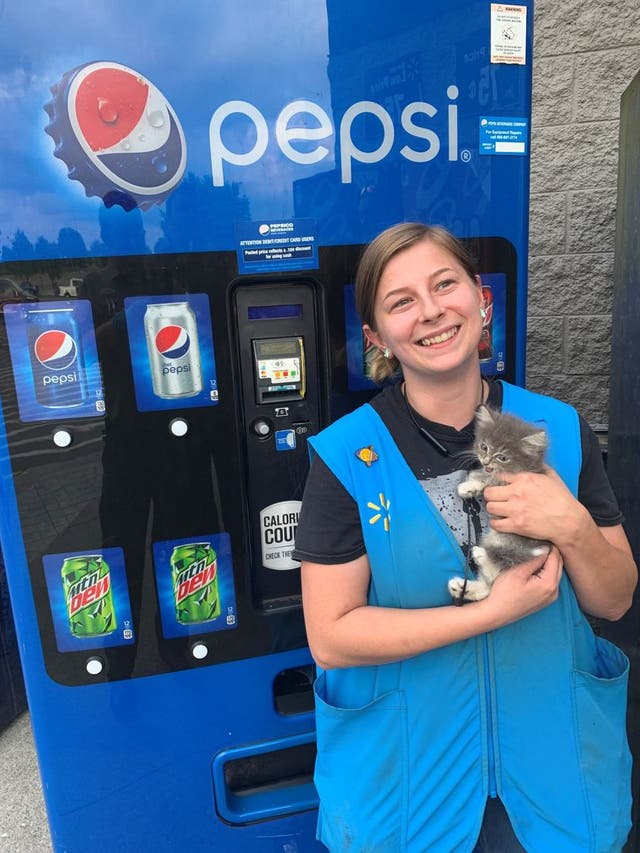 <p>Lindsey Russell, the Walmart employee who heard ‘Pepsi’ the cat crying inside the vending machine, poses with her new rescued kitten</p>