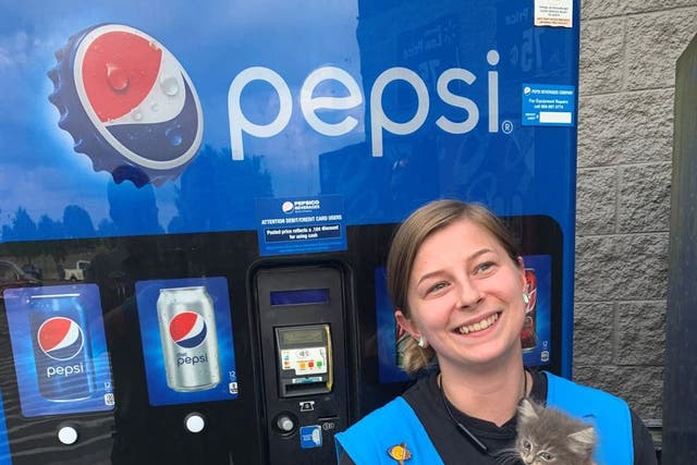<p>Lindsey Russell, the Walmart employee who heard ‘Pepsi’ the cat crying inside the vending machine, poses with her new rescued kitten</p>