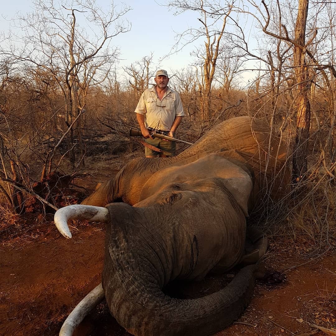 <p>Wildlife hunter shot ‘in cold blood’ next to car</p>