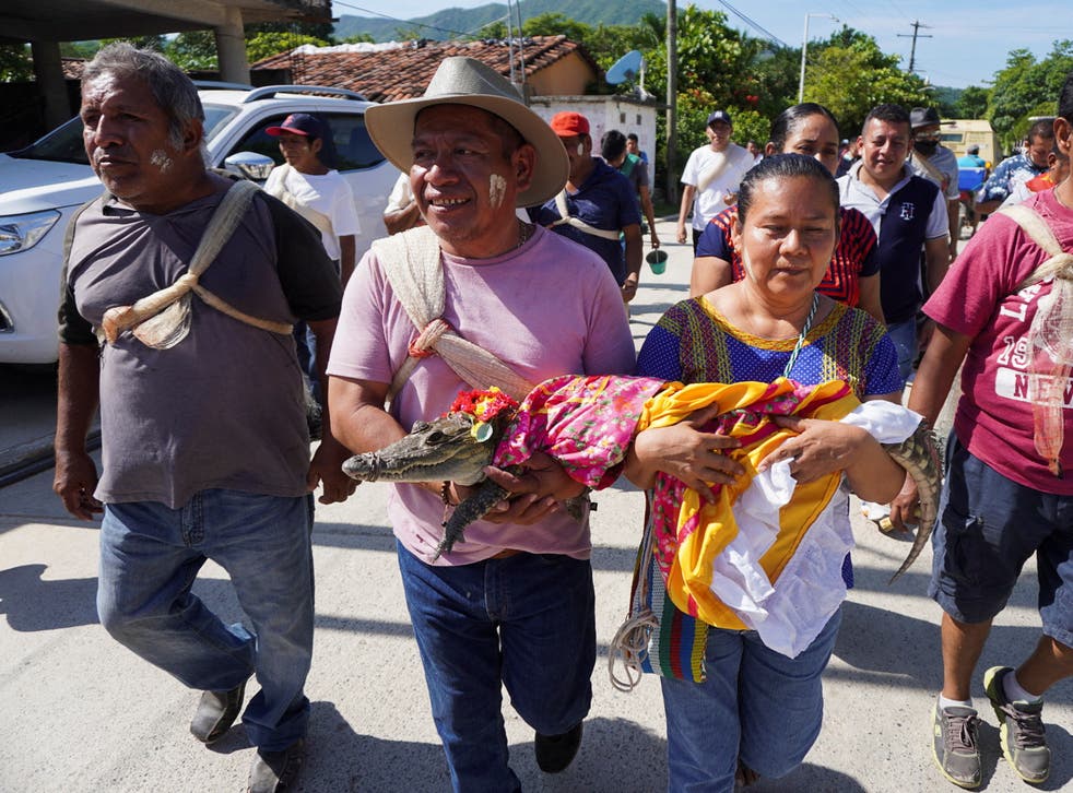 People carry the alligator to the wedding ceremony(REUTERS)