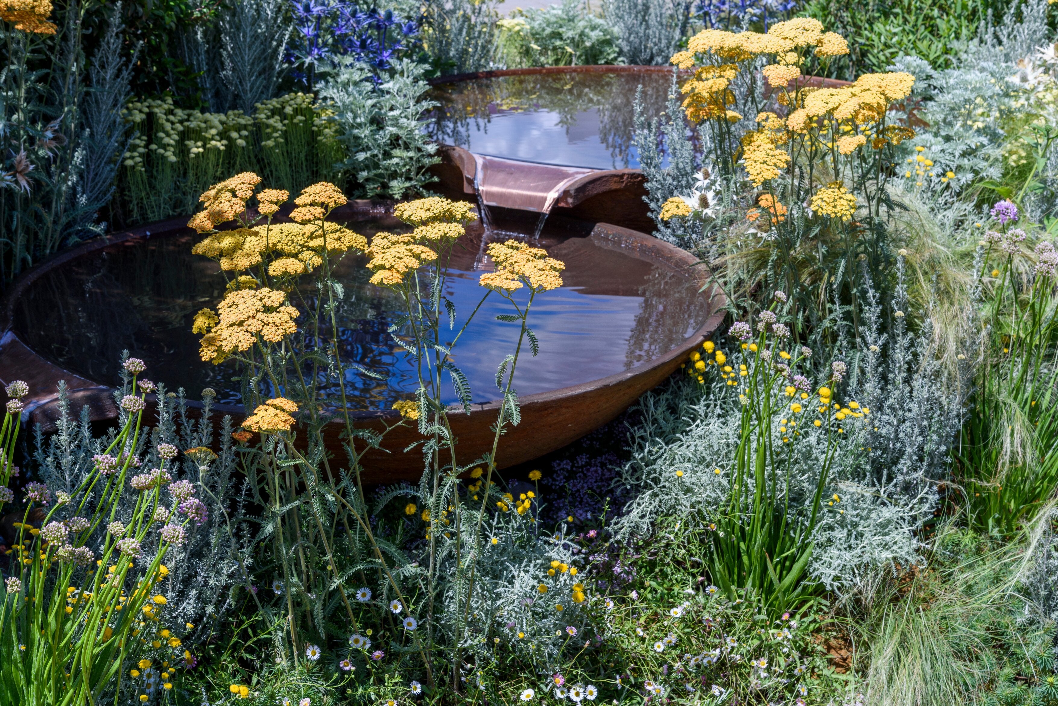 The Mail and RHS Planet Friendly Garden, designed by Mark Gregory (RHS/Tim Sandall/PA)