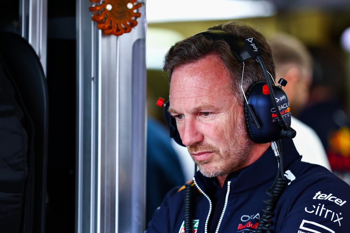 Christian Horner says Mercedes ‘let Ferrari off the hook’ with Lewis Hamilton tyre call in British Grand Prix