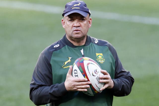 <p>South Africa assistant coach Deon Davids knows the Springboks must improve their kicking game</p>