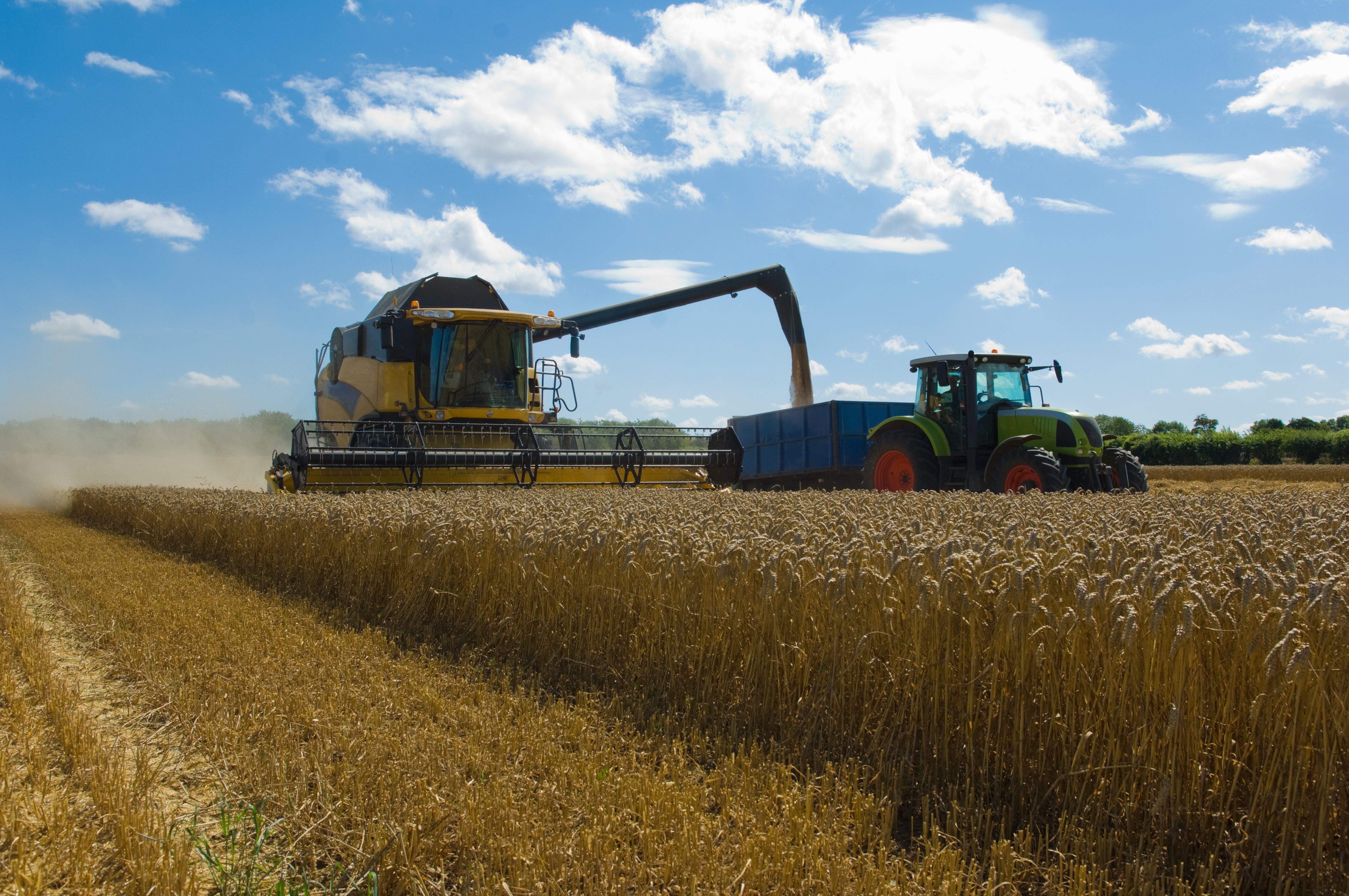 Farmers are losing thousands on unpicked food as they scramble to find workers