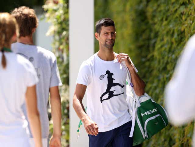 <p>Novak Djokovic plays in the quarter-finals this afternoon</p>