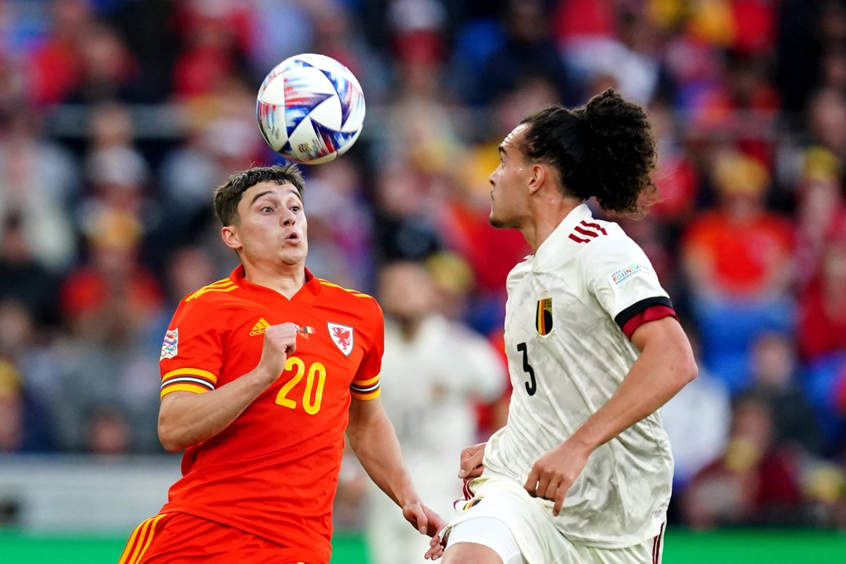 Winter World Cup will increase fears of injuries in build-up, Daniel James claims