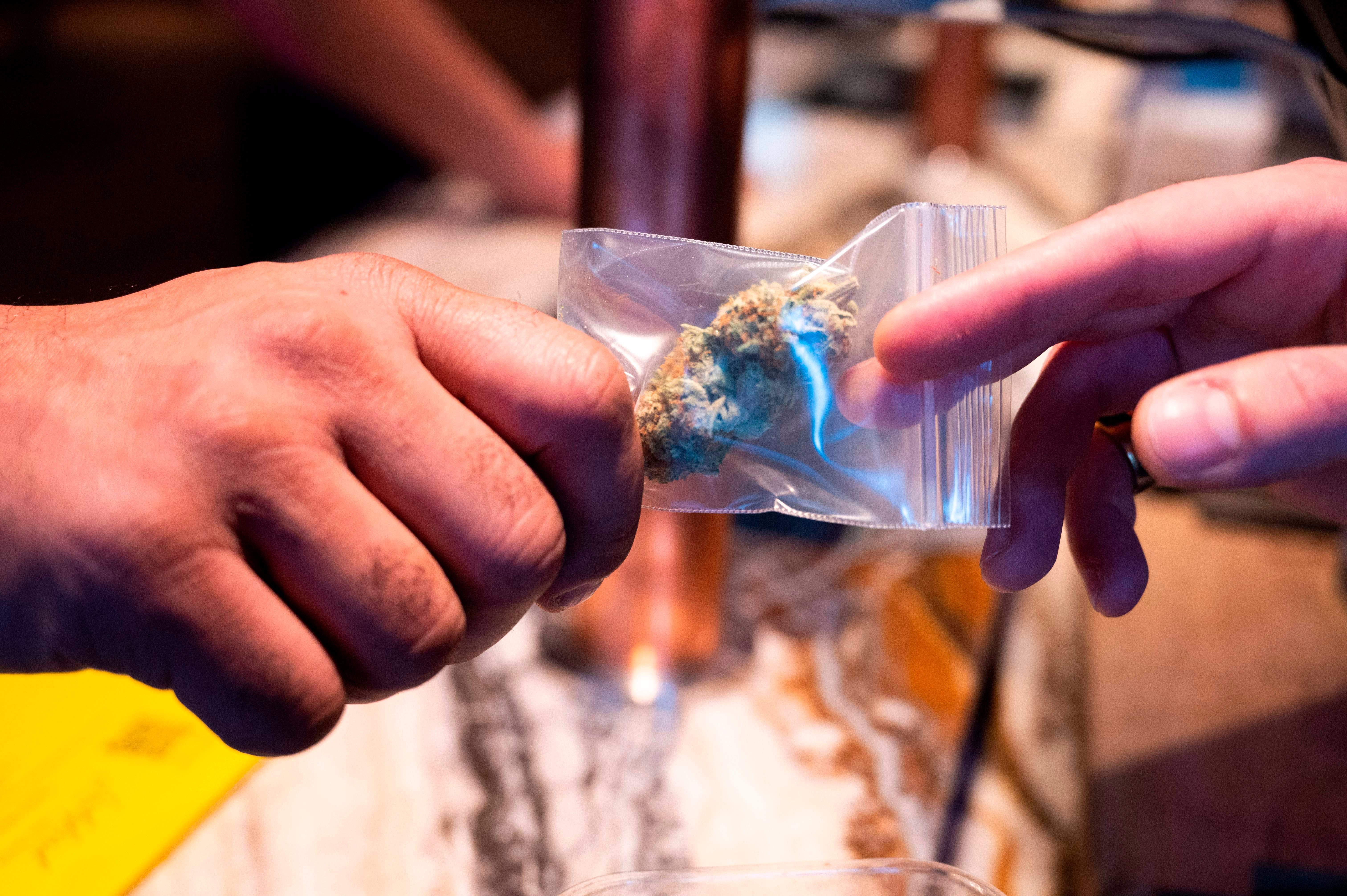 The Dutch government decided to tolerate small amounts of cannabis possession for recreational use