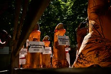 Activists protest over Spain's San Fermin bull-run festival