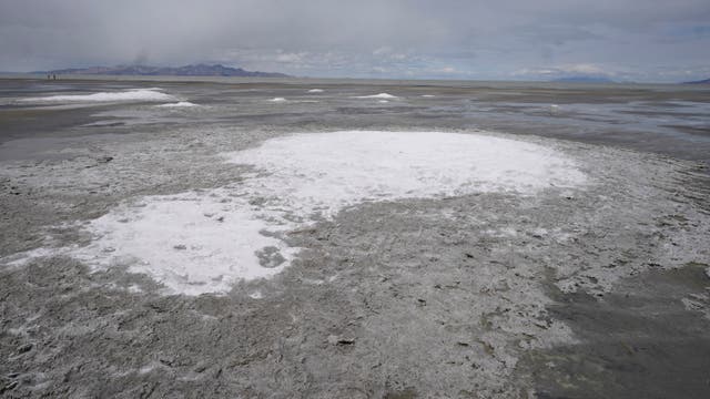 <p>Great Salt Lake in Utah </p>
