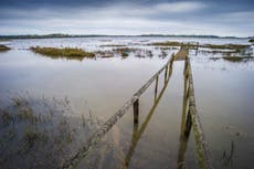 Wildlife Trusts: Nature reserves face hotter temperatures, wildfires and floods