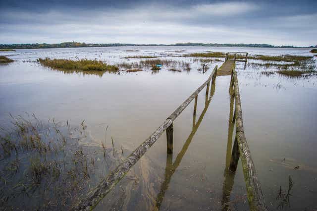 Hundreds of nature reserves are facing rising temperatures, falling river flows and worsening fire risk in the face of climate change, the Wildlife Trusts has said (Matthew Roberts/PA)