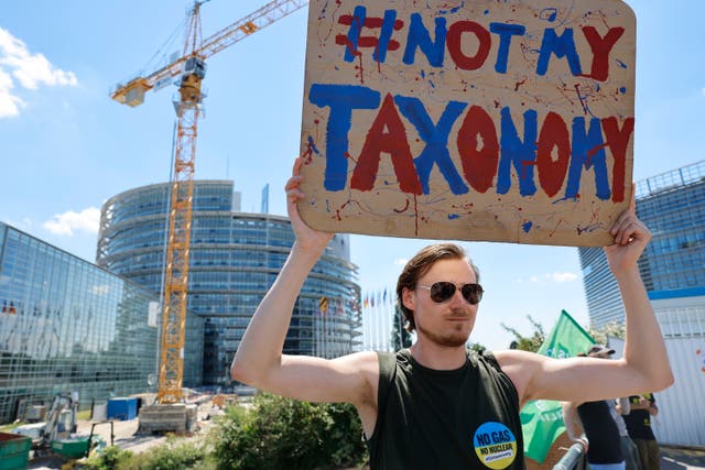 <p>Climate activists demonstrate against the so-called “taxonomy” outside the European Parliament, in Strasbourg in July.  </p>