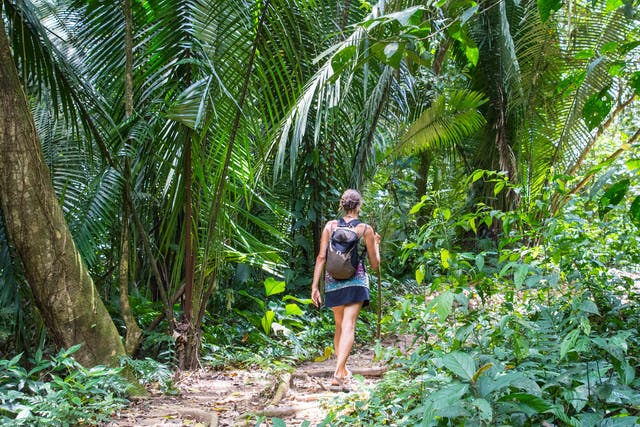 <p>A woman explores the trail to Bocawina Falls in Bocaina National Park, Belize</p>