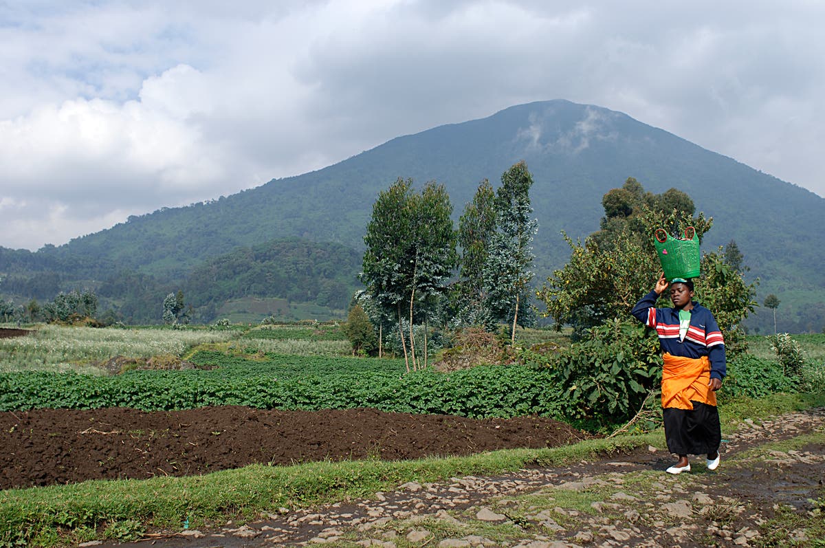 Why we need women leaders in conservation