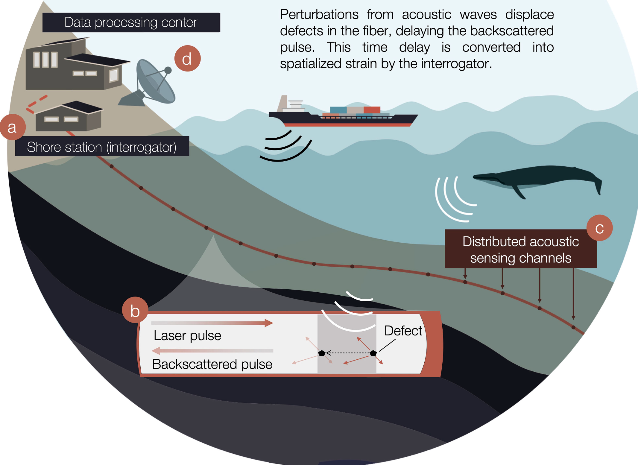 How Distributed Acoustic Sensing, or DAS, works