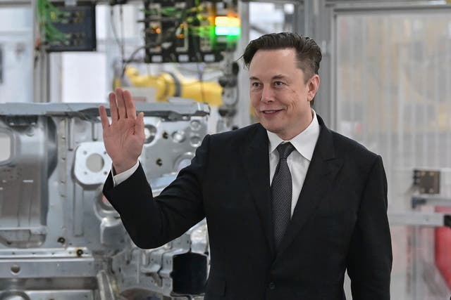 <p>Tesla CEO Elon Musk at a factory opening in Germany this year</p>