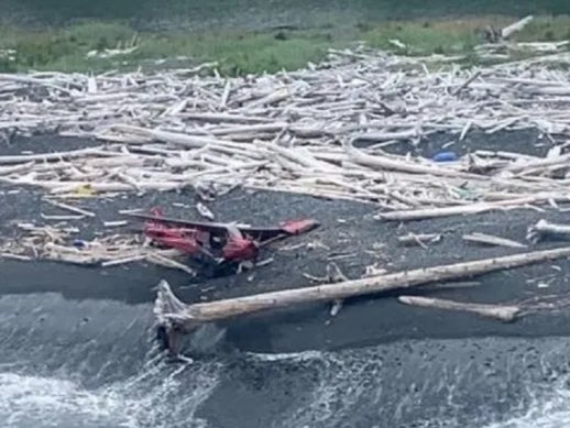 Photo of the crash site on Montague Island in Alaska shared by the US Coast Guard