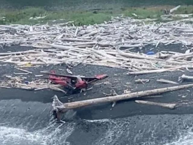 <p>Photo of the crash site on Montague Island in Alaska shared by the US Coast Guard</p>
