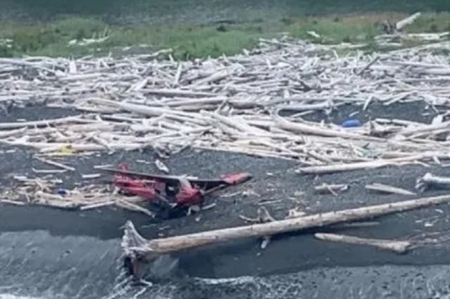 <p>Photo of the crash site on Montague Island in Alaska shared by the US Coast Guard</p>