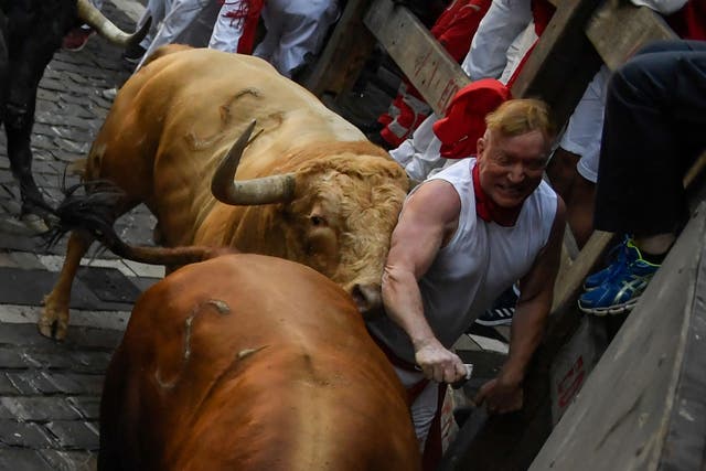 <p>A participant is pushed against a fence by bulls during the "encierro" (bull run) of the San Fermin festival in Pamplona, northern Spain</p>