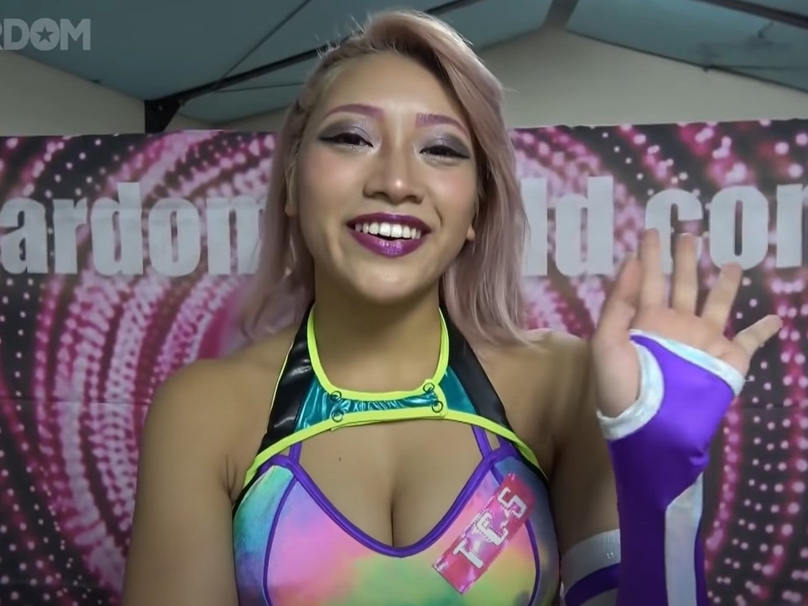 Wrestler and reality TV star Hana Kimura killed herself after receiving online abuse on social media