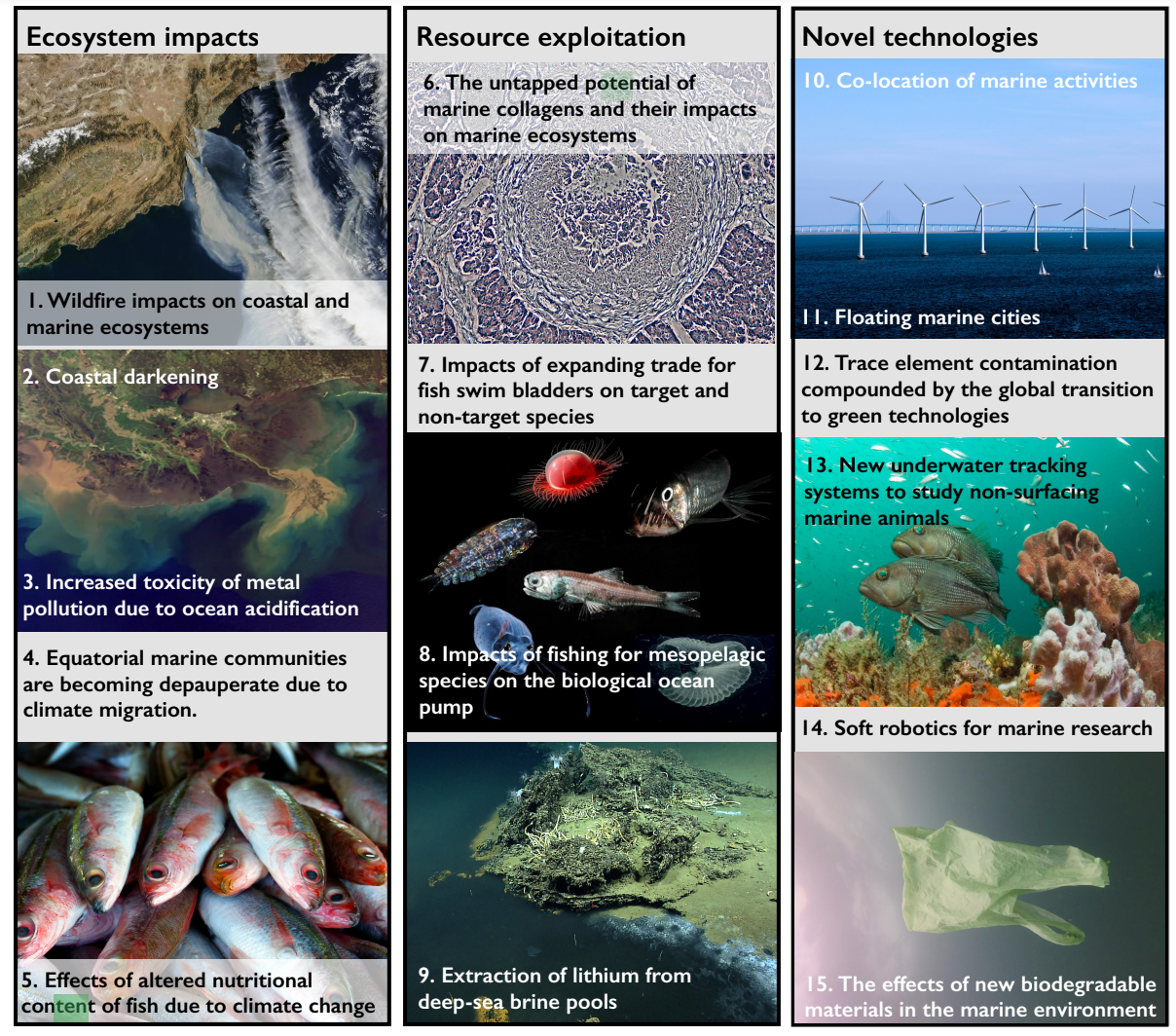 An international team of scientists have listed their top concerns for the global ocean
