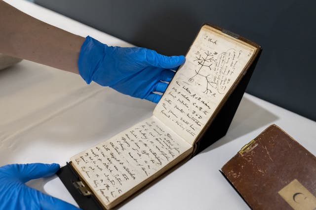 Two Charles Darwin manuscripts anonymously returned to Cambridge University Library more than 20 years after they were found to be missing are to go on public display (Cambridge University Library/PA)