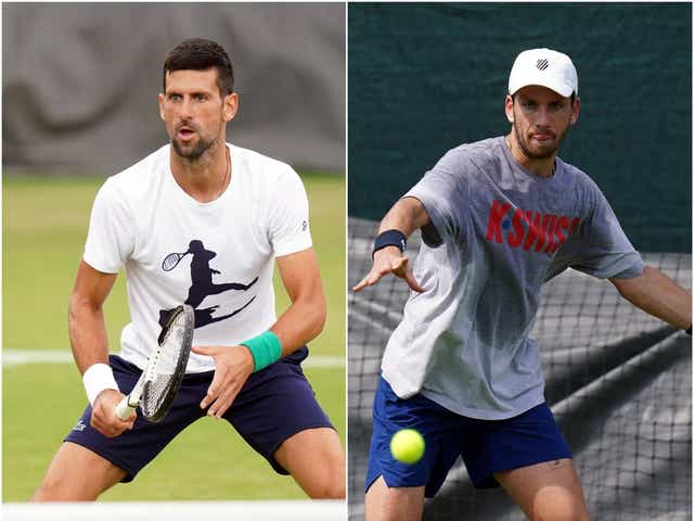 Novak Djokovic and Cameron Norrie will battle it out on Centre Court for a place in the Wimbledon final (Adam Davy/PA)