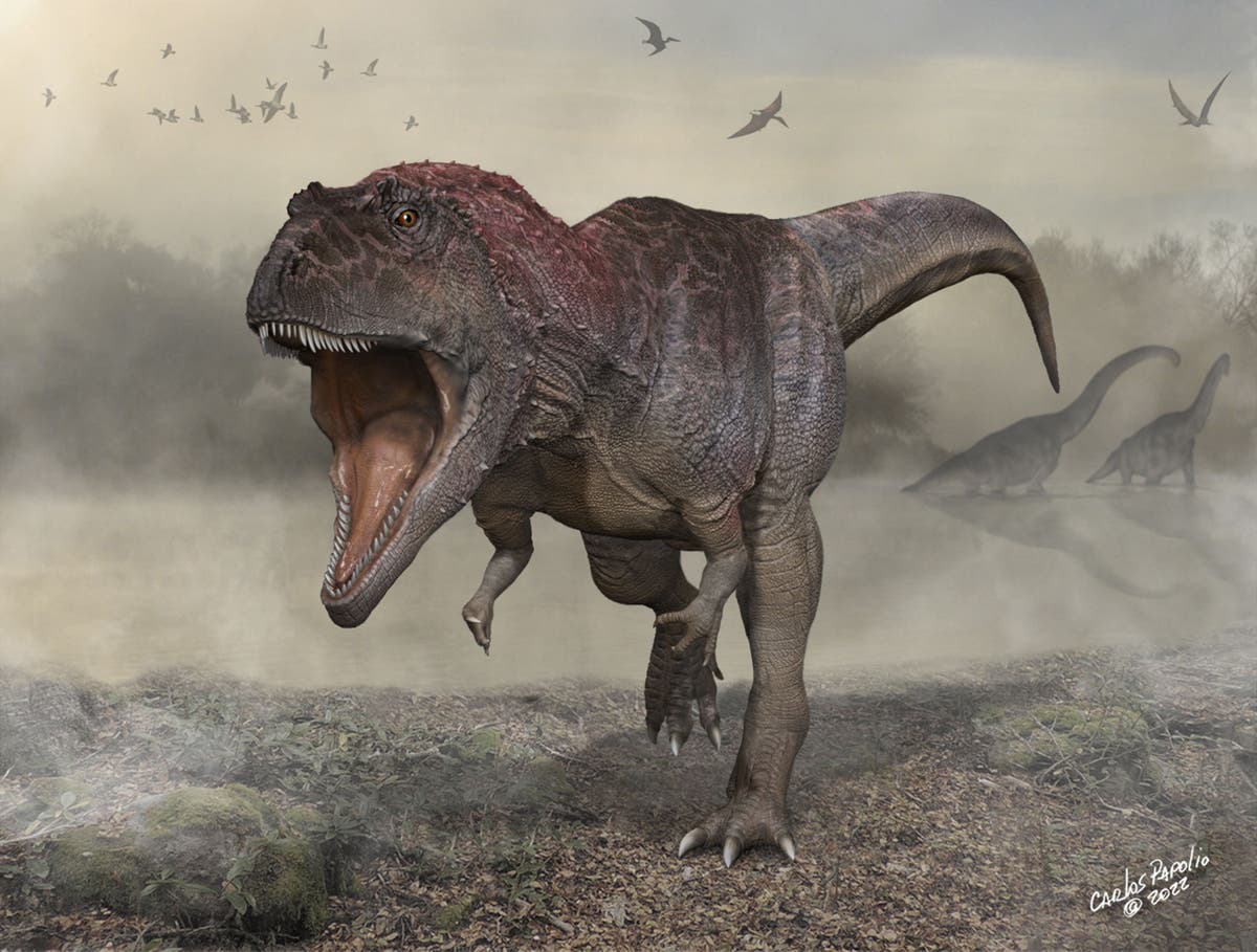 New dinosaur discovery may explain why T-rex had small arms