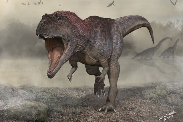 <p>This December 13, 2021, illustration courtesy of the University of Minnesota shows a new dinosaur Meraxes gigas. - Paleontologists said on July 7, 2022, they had discovered a new giant carnivorous dinosaur species named Meraxes gigas that had a massive head and tiny arms, just like Tyrannosaurus rex. </p>