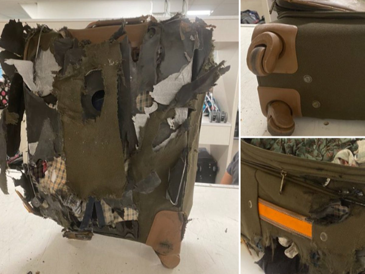 ‘Was there a bear in the cargo hold?’: Woman’s bag ripped to shreds after Delta flight