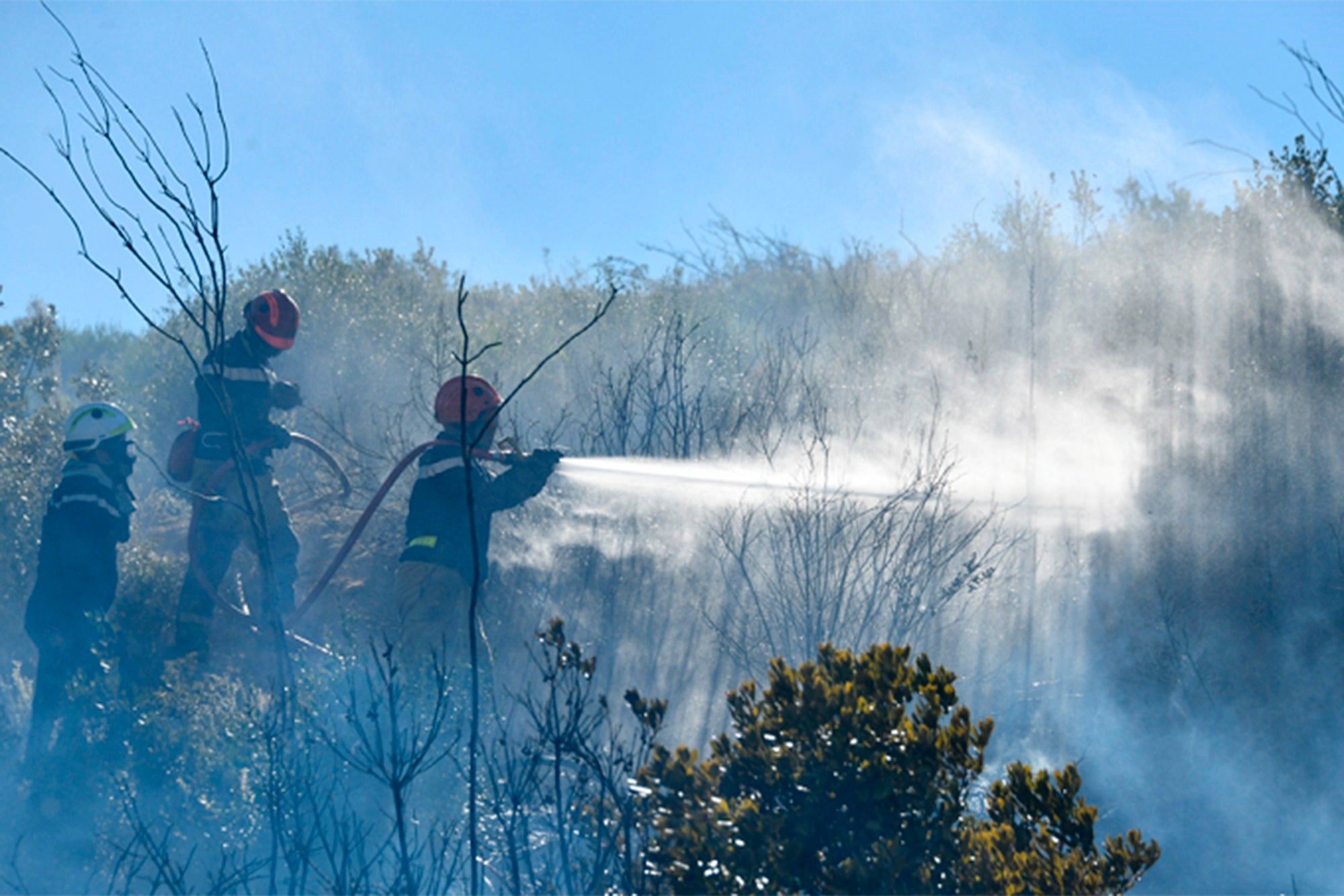 France Wildfires