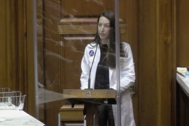 <p>Dr Caitlin Bernard addresses anti-abortion legislation during an Indiana General Assembly committee hearing on 15 February.</p>