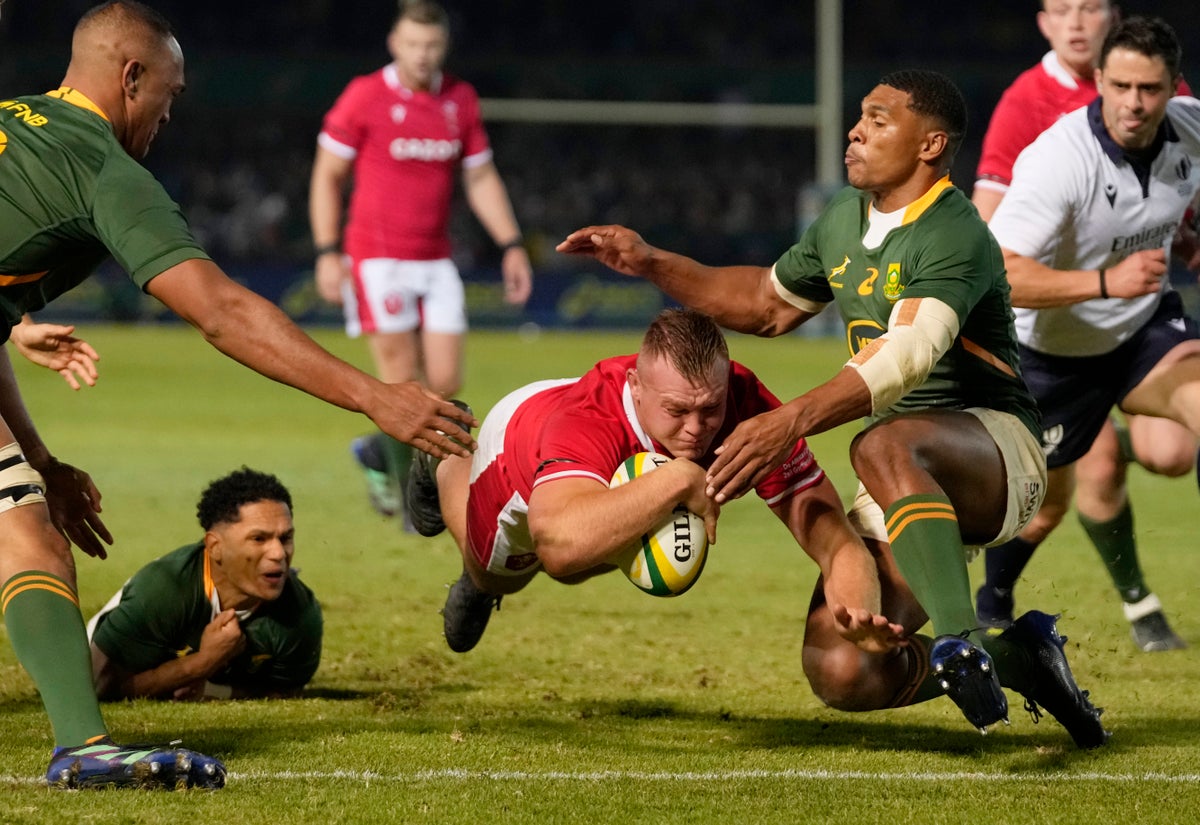 Is South Africa vs Wales on TV? Kick-off time, channel and how to watch international