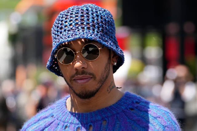 Lewis Hamilton said he was “disgusted” to hear that fans being subjected to abuse (Matthias Schrader/AP)