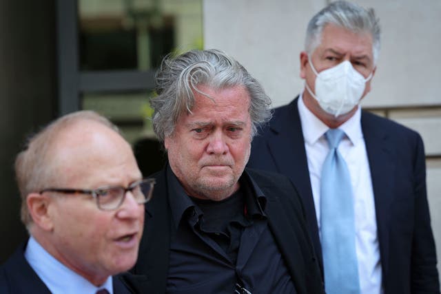 <p>Steve Bannon at a news conference</p>