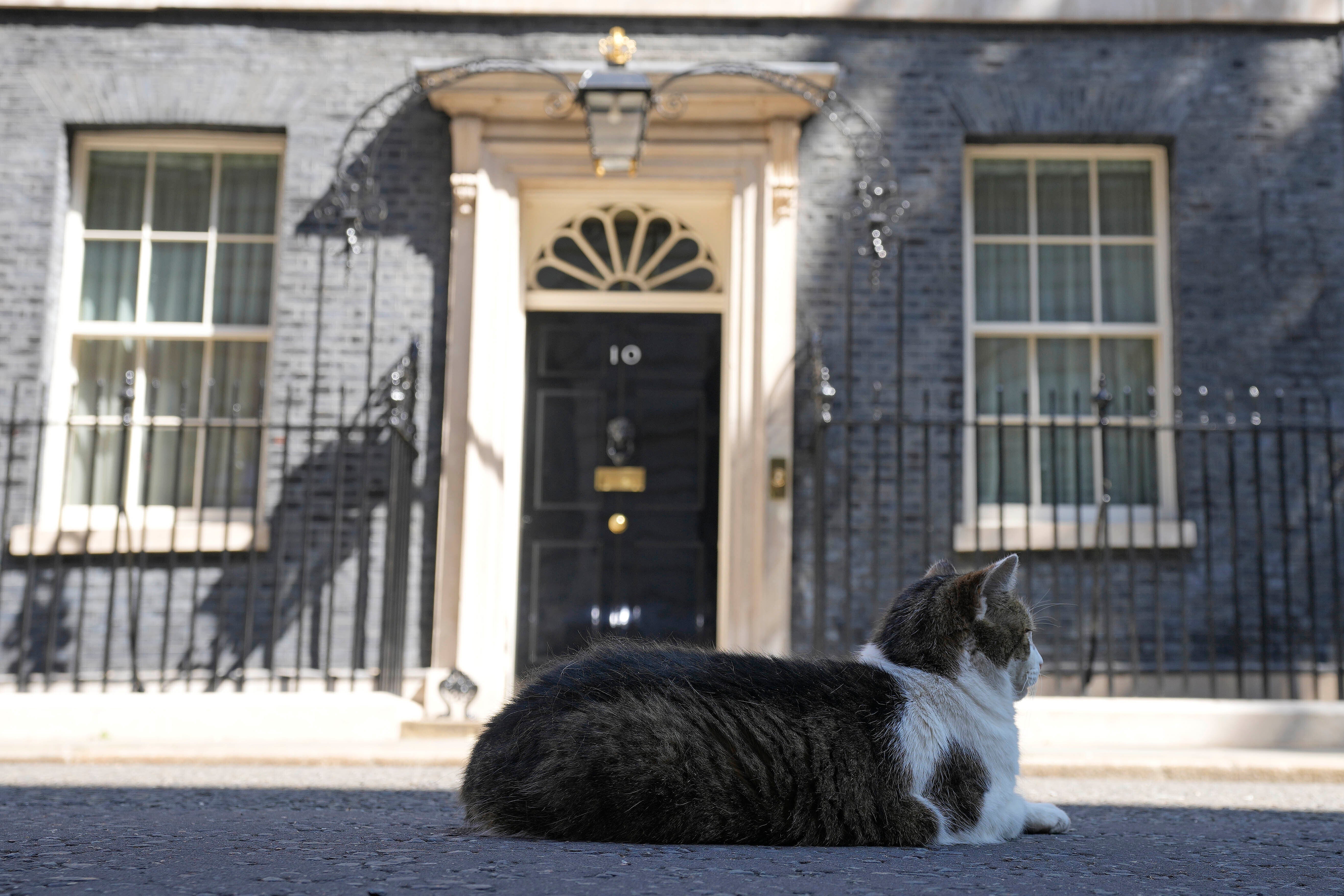 Larry is too busy to help the next prime minister