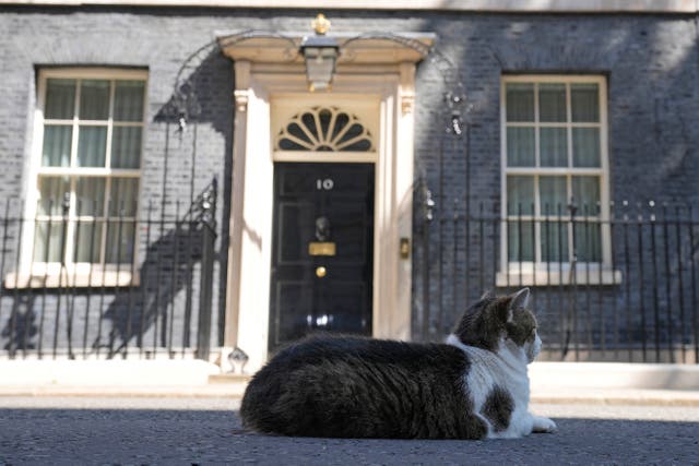 <p>Larry is too busy to help the next prime minister </p>