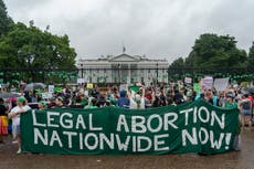 Doctor leads plan to launch floating abortion hospital off coast of California 