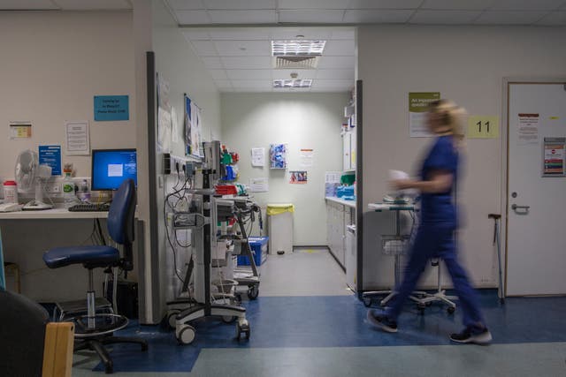 The new Health Secretary is being urged to end the delay in announcing a pay rise for nurses amid research suggesting public support for industrial action over the issue has risen sharply (Alamy/PA)