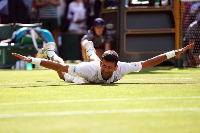 Novak Djokovic won another Wimbledon title (Adam Davy/PA)