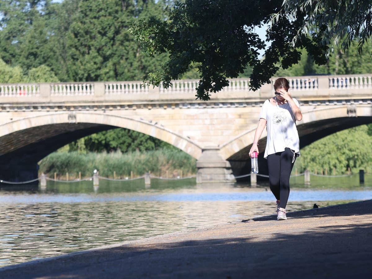 UK heatwave: National emergency planning in government amid fears temperatures could hit 40C