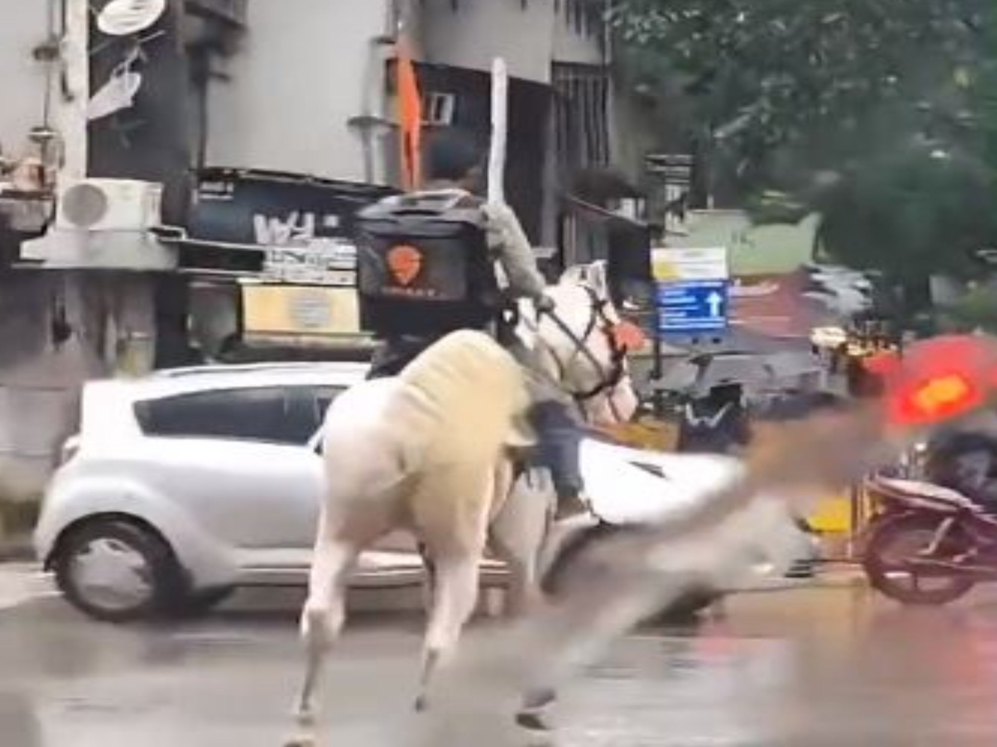 <p>A man was seen riding a horse with a Swiggy delivery box</p>