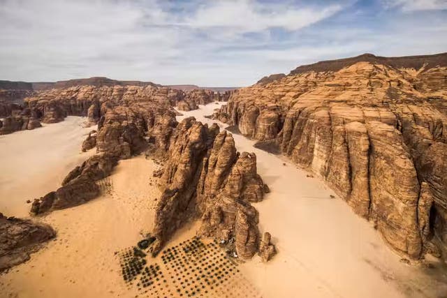 <p>Desert  in Saudi Arabia’s AlUla region. In cooler times, this was farmland </p>